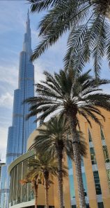 Dubai real estate market trends 2024